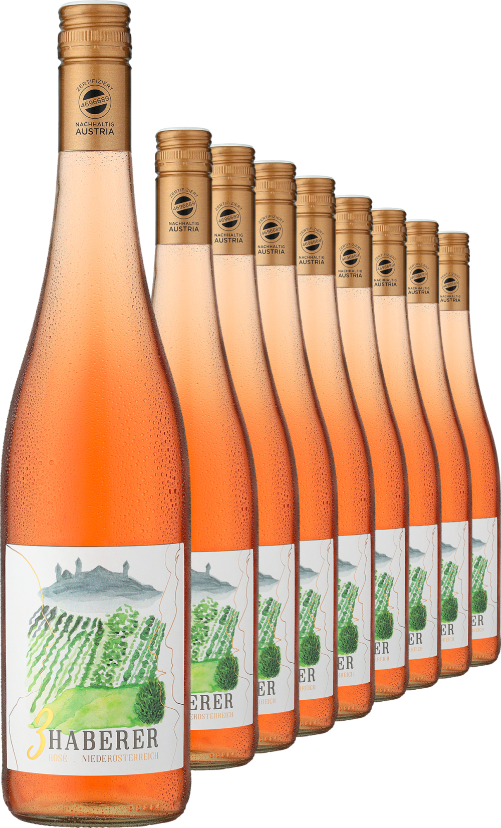 2025 Müller »3 Haberer« Rosé im 9er-Vorratspaket