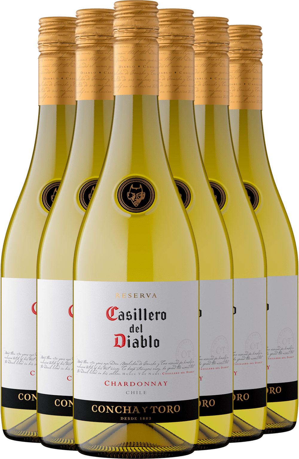 2025 Casillero del Diablo Reserva Chardonnay im 6er-Vorratspaket