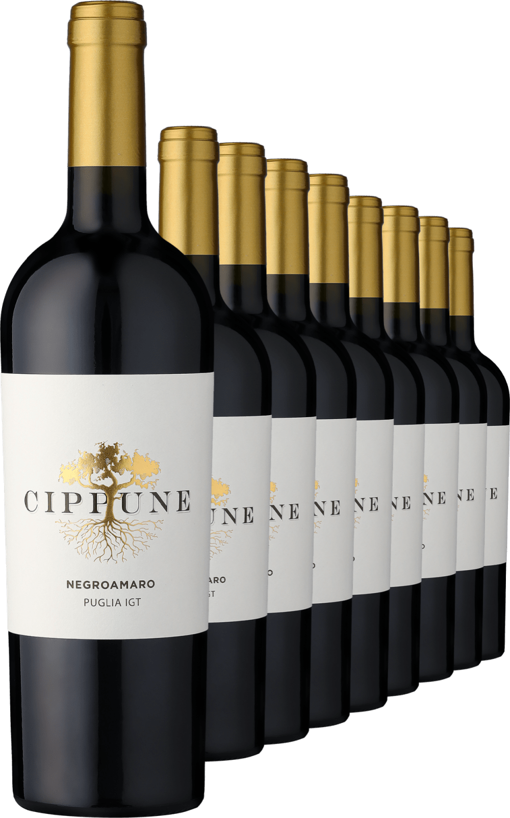 2024 Cippune Negroamaro im 9er-Vorratspaket