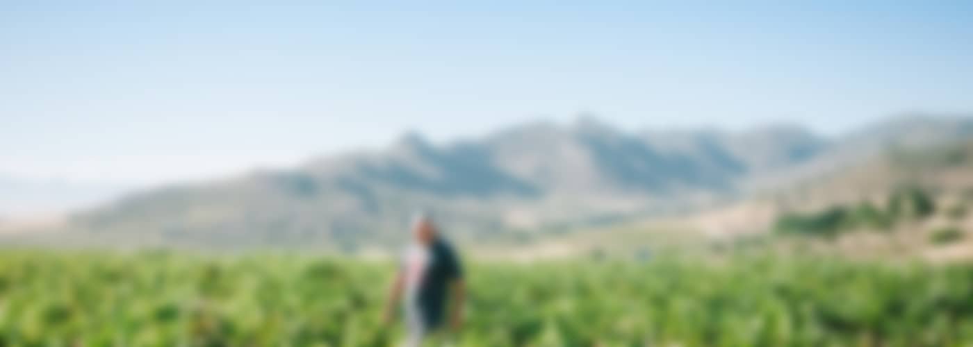 2020 AA Badenhorst Secateurs Chenin Blanc