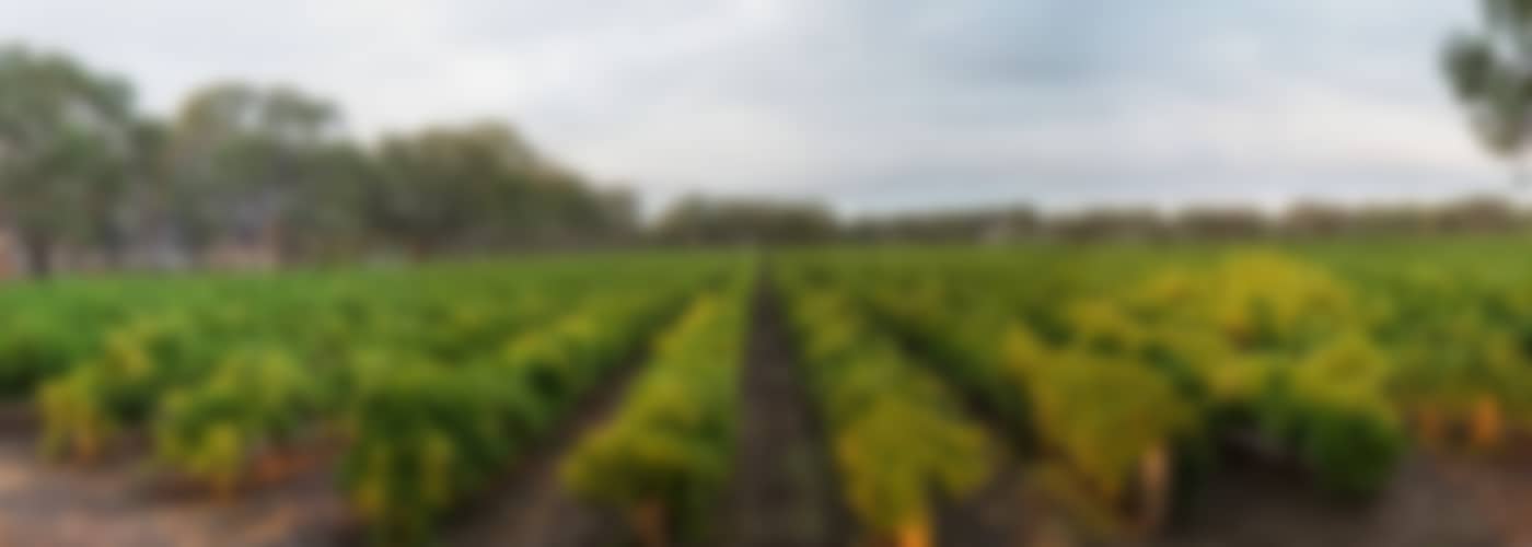 2018 Heartland Cabernet Sauvignon