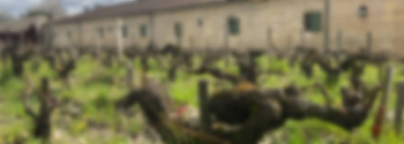 2023 Château Margaux (Subskription)