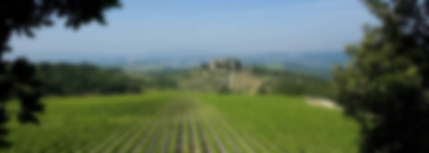 2017 CastelGiocondo Brunello di Montalcino