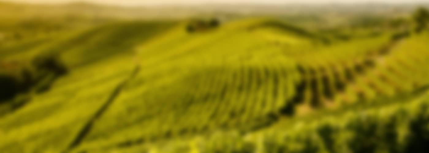 Sibona Grappa di Barolo - 0,5l