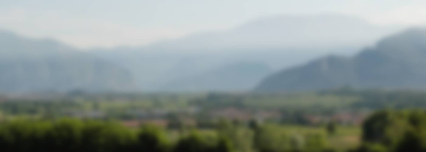 Ca’ del Bosco Cuvée Prestige