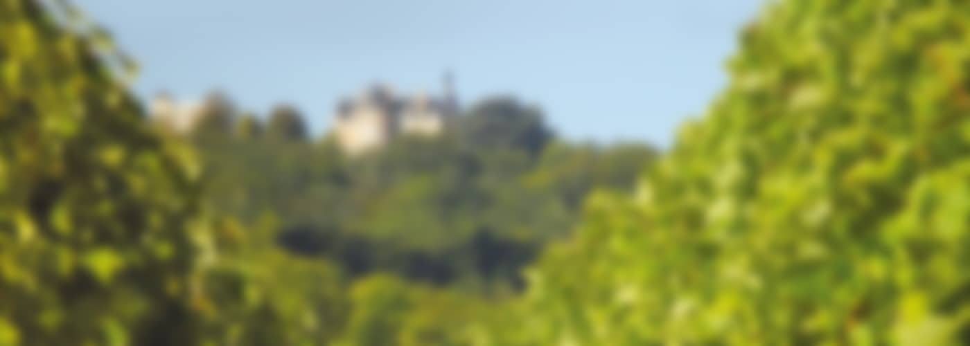 2020 Château de Sancerre