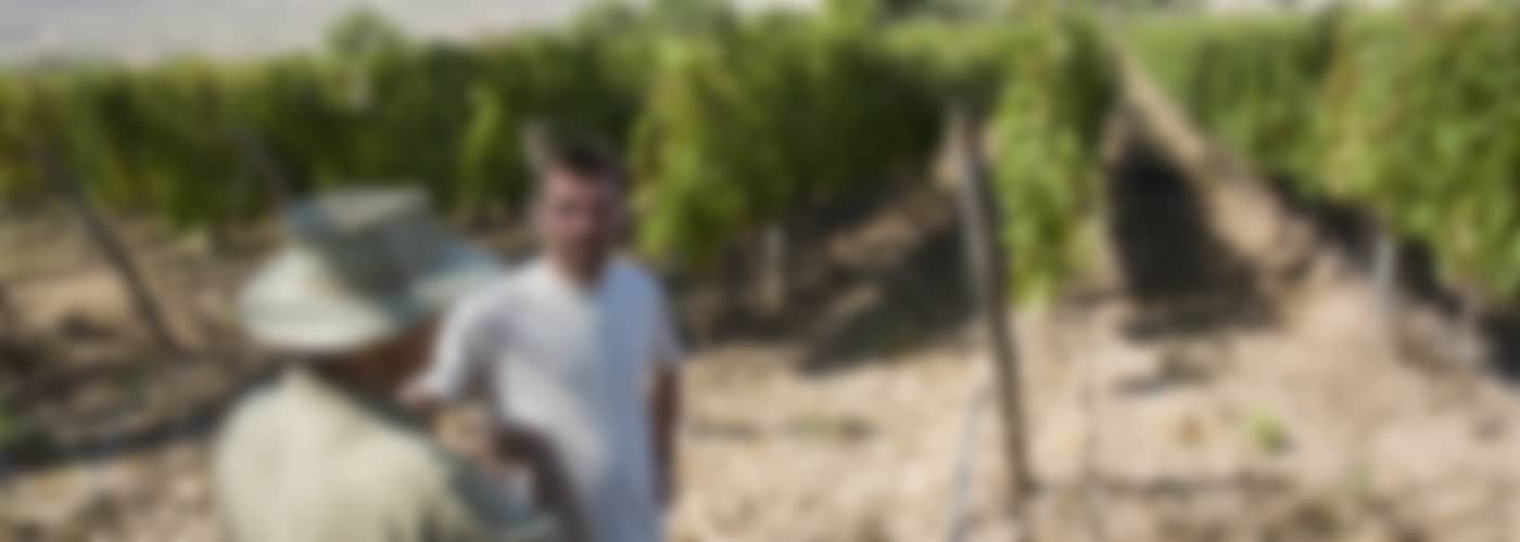 2020 Colomé Auténtico Malbec