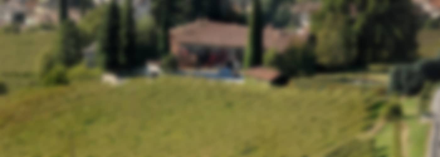 2020 Conti Bossi Fedrigotti Mas'Est Teroldego Vigneti delle Dolomiti