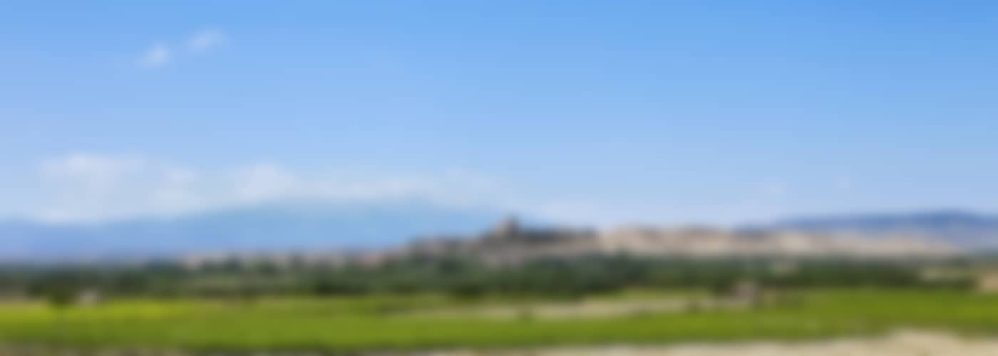 2021 Pagos del Moncayo Prados Fusión