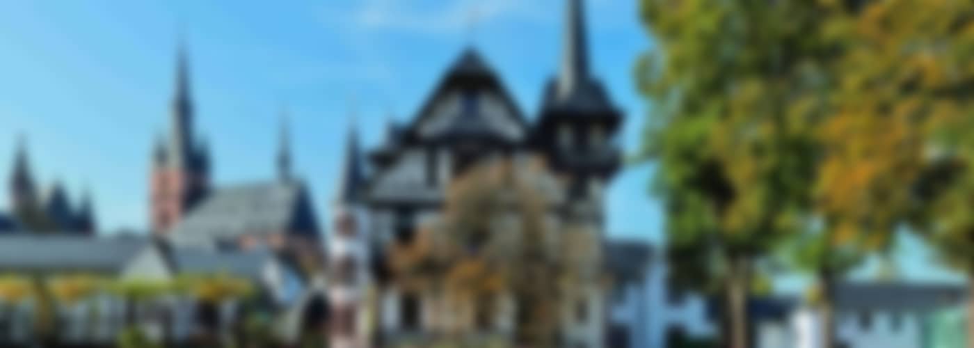 3+3-PAKET Wilhelm Weil »Fortune« Grauburgunder 2022