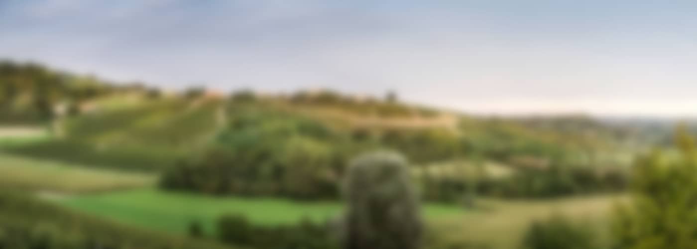 2019 Coppo Costebianche Chardonnay