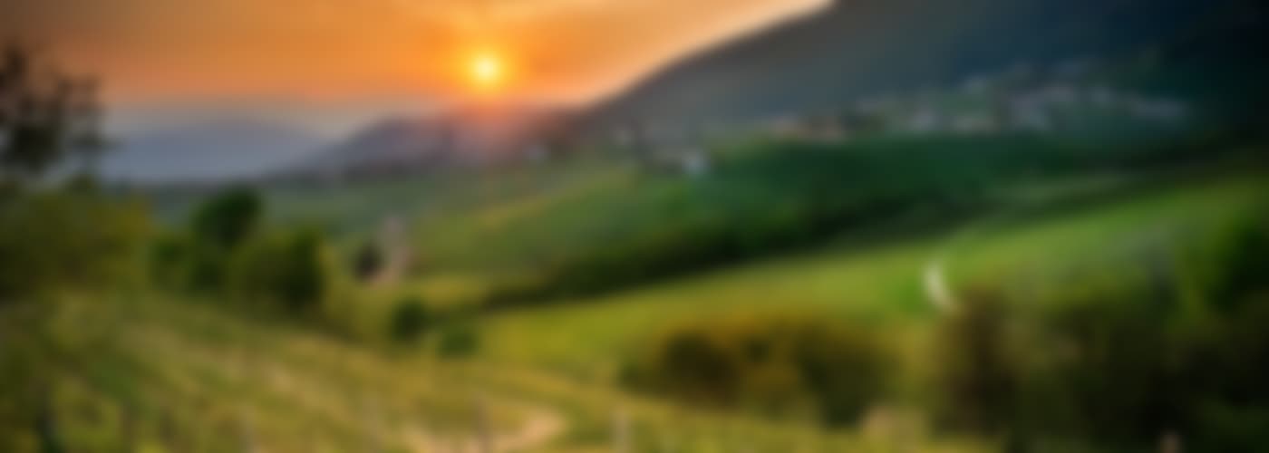 2020 Argeo Rosé Prosecco