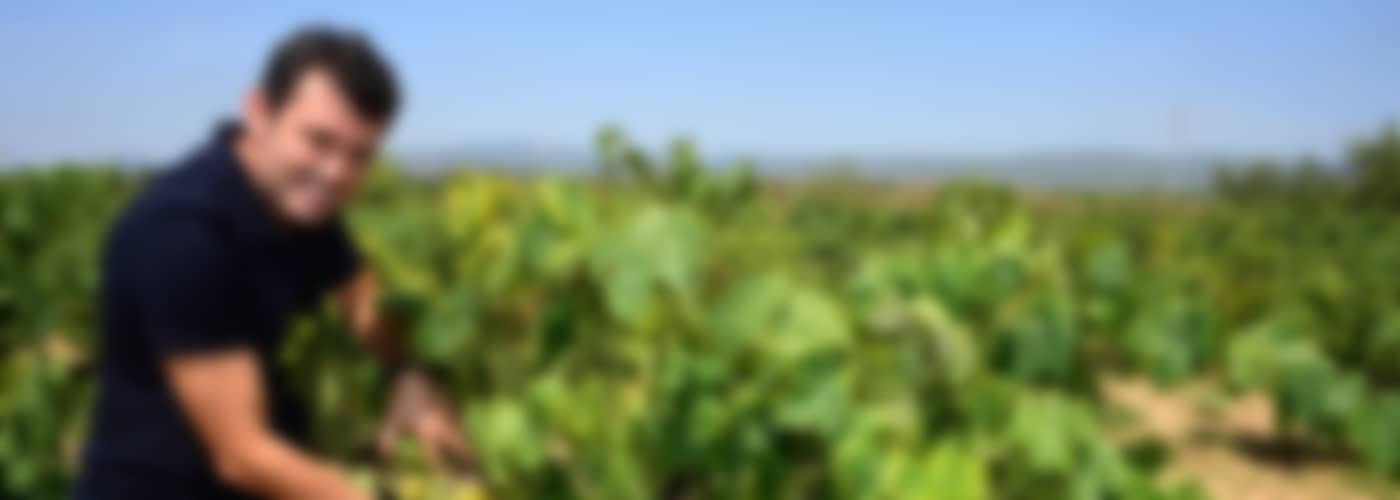 2021 Acústic Celler »Acústic« Blanc