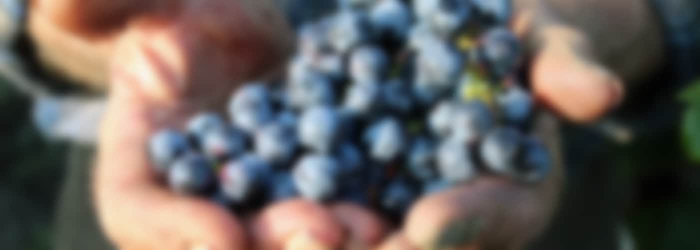 2021 Farnese Zolla Primitivo-Merlot