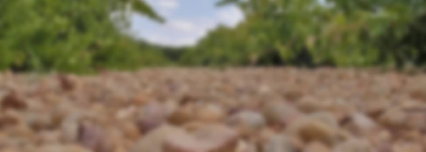 2019 »La Ventica« Bobal Syrah
