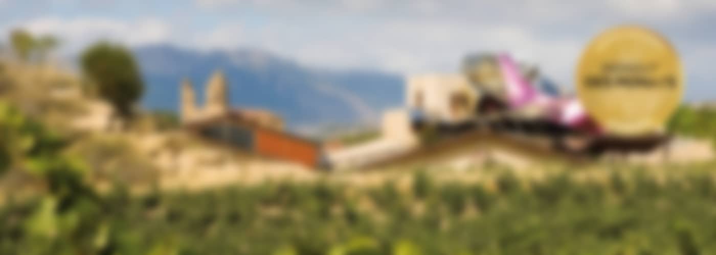 2019 Marqués de Riscal Finca Montico – Bio