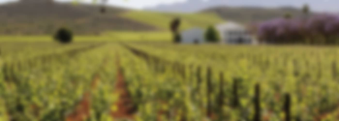2021 De Wetshof Estate »Bon Vallon« Chardonnay