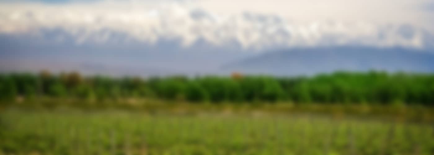 2022 Hereford Malbec