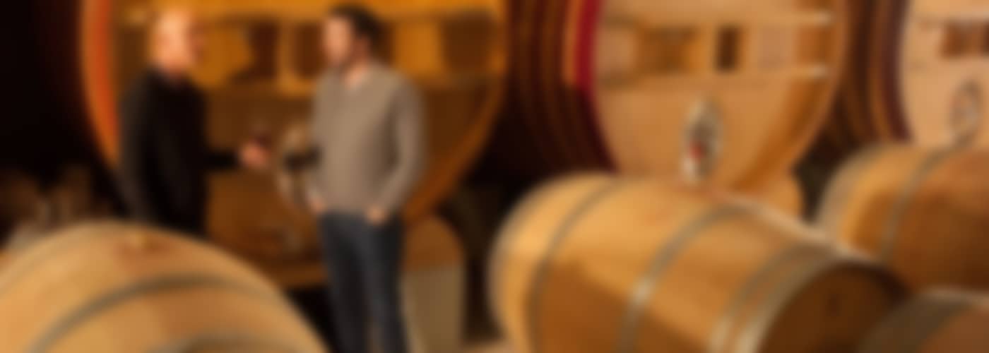 2020 Domaine des Sénéchaux Blanc