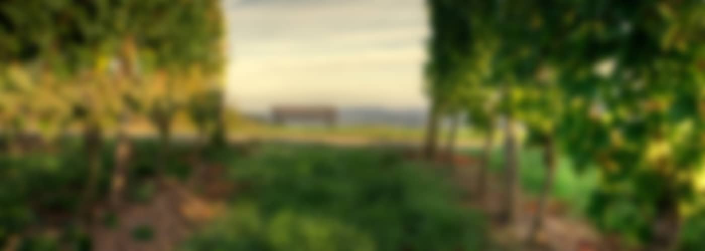 2021 Hexamer Riesling »Porphyr«
