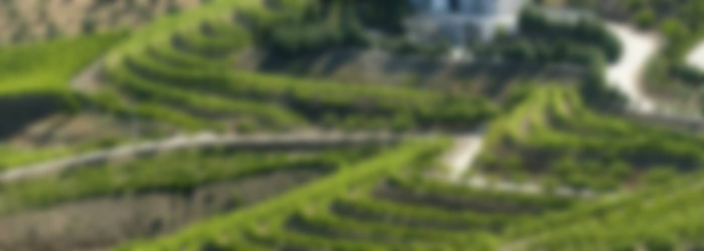2021 Azevedo Vinho Verde