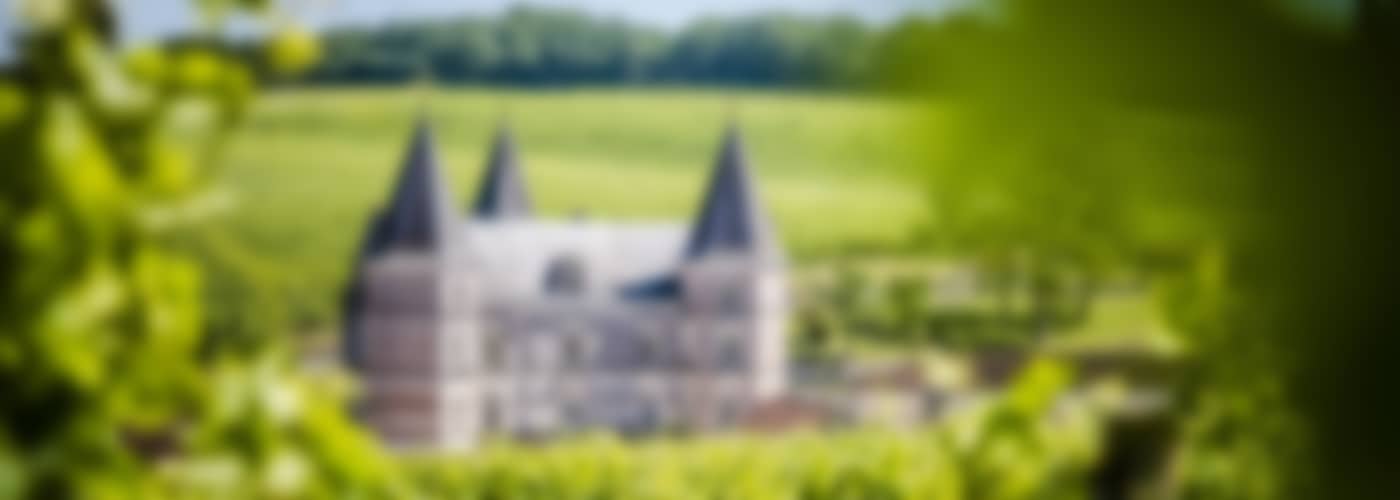 Cognac Frapin VIP XO in Geschenkverpackung