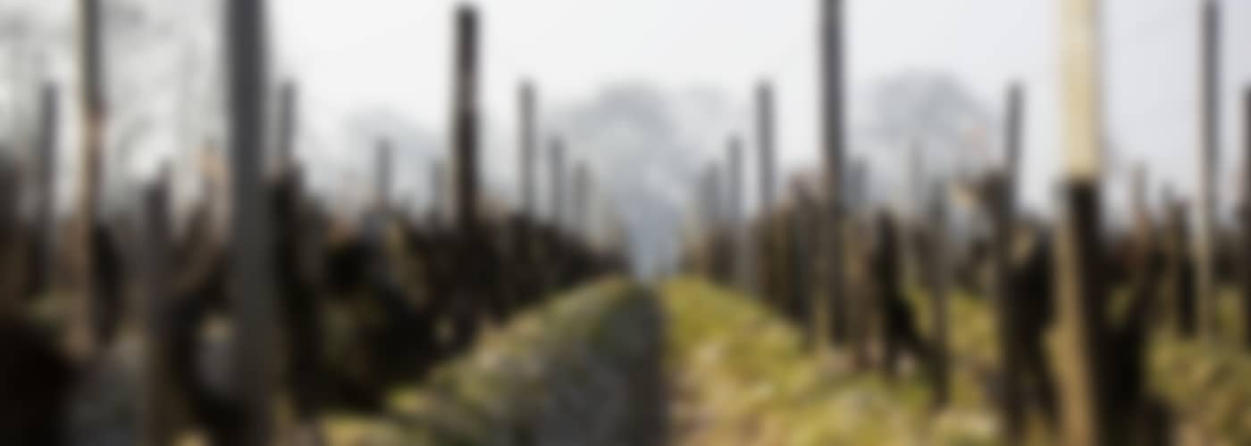 2021 CHÂTEAU LAFITE-ROTHSCHILD (SUBSKRIPTION) - LIMITIERT