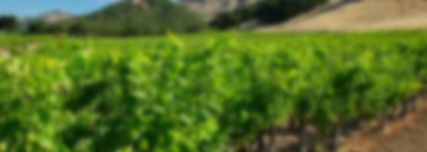2018 Stag's Leap Wine Cellars »CASK 23«