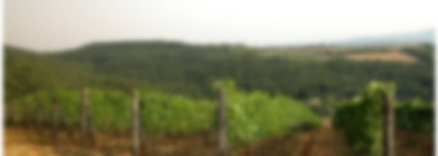 2018 Tenuta di Capraia Il Fantino Chianti