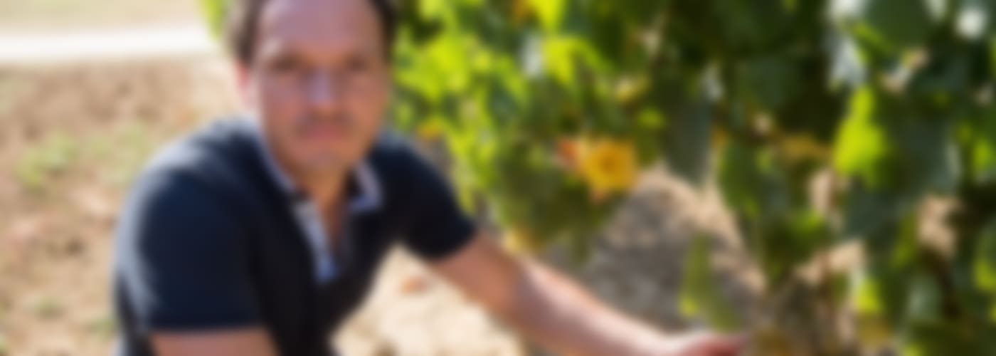 2020 Horgelus Rosé