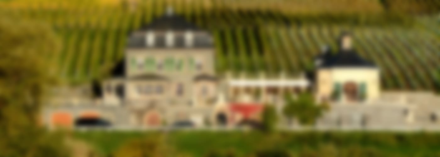 2019 Dr. Loosen Riesling