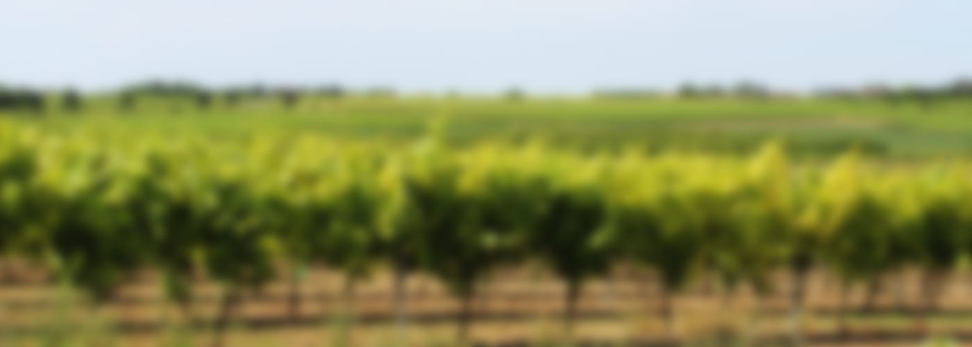 2018 CHÂTEAU PLINCE (SUBSKRIPTION)