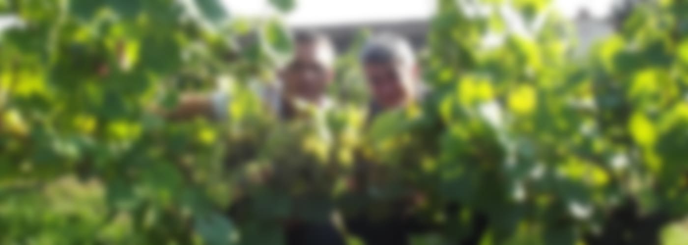 2019 Domaine de la Foliette Sauvignon