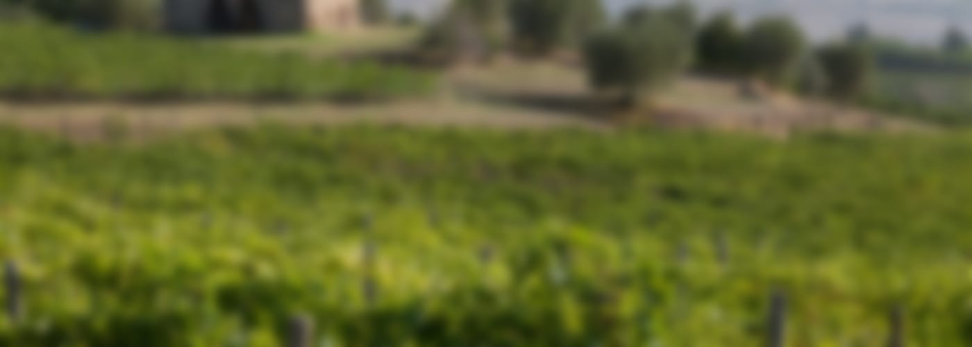 2017 Biondi-Santi Rosso di Montalcino
