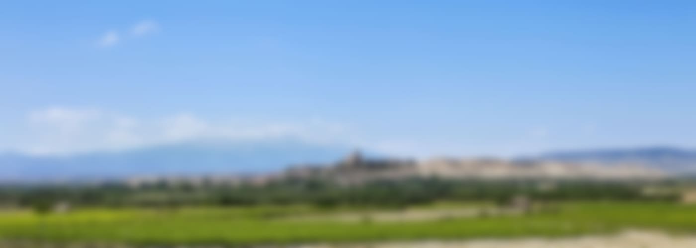 2017 Pagos del Moncayo Prados Colección Garnacha