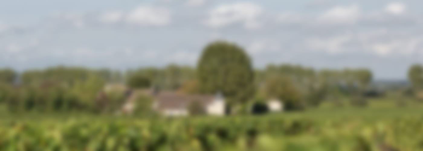 2018 CHÂTEAU BOURGNEUF (SUBSKRIPTION)
