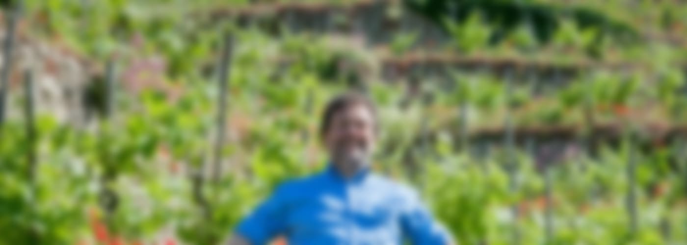 2016 M. Chapoutier »Les Arènes«