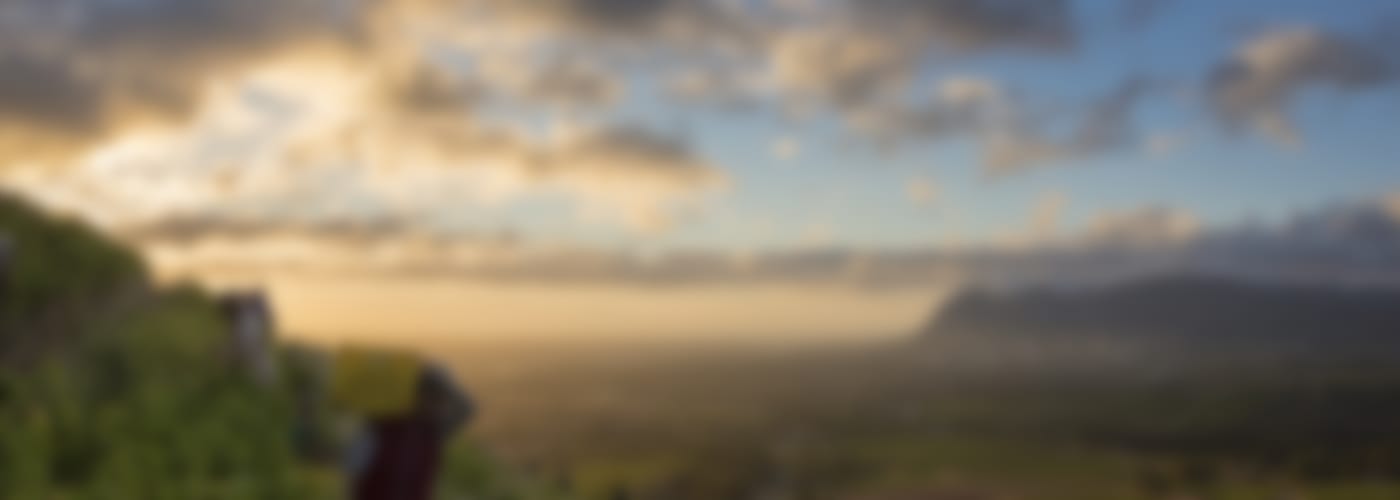 2019 Klein Constantia Sauvignon Blanc