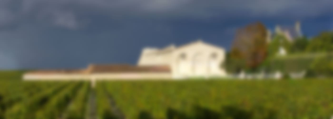 2010 Château Mouton Rothschild