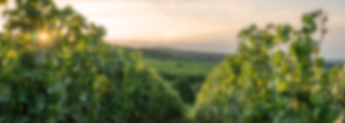 2019 CHÂTEAU CANON LA GAFFELIÈRE (SUBSKRIPTION)