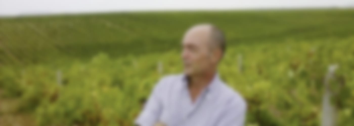 2019 Albinoni Lugana