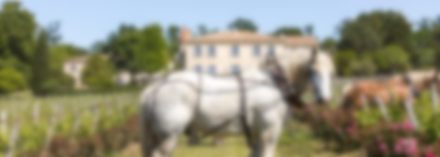 2018 CHÂTEAU TROPLONG MONDOT (SUBSKRIPTION)