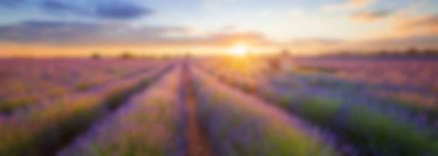 2019 Château de l'Aumérade l'Origine Rosé in der Doppelmagnum