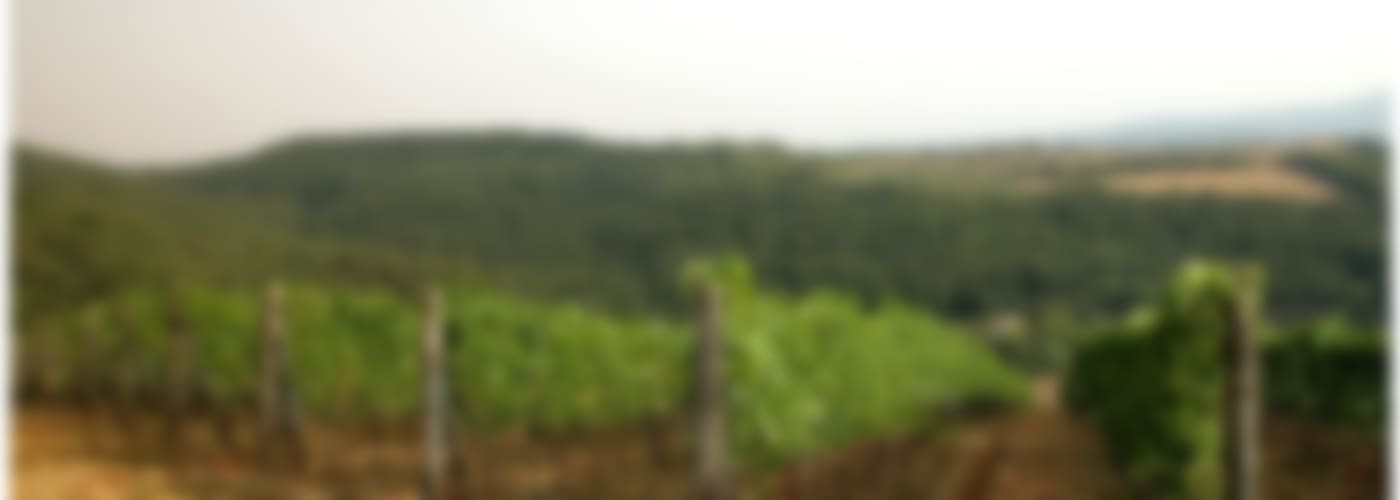 2015 Tenuta di Capraia Chianti Classico Riserva