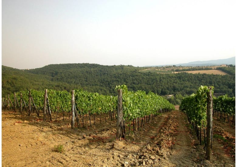 Tenuta di Capraia