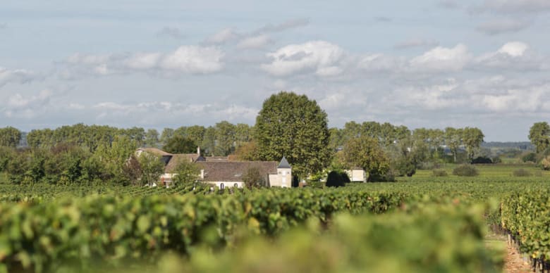 Château Bourgneuf