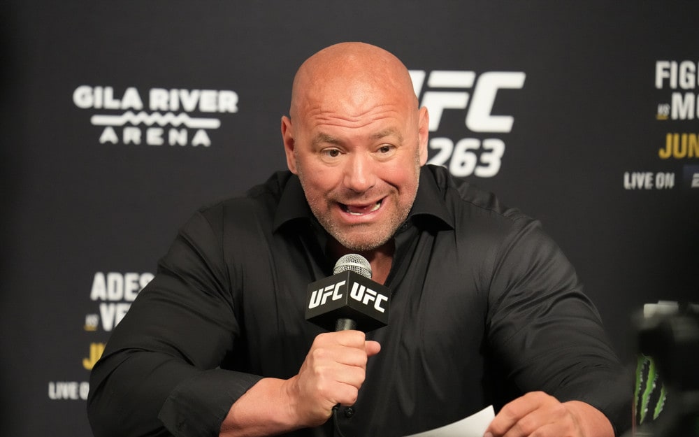 DraftKings MMA DFS Lineup Optimizer