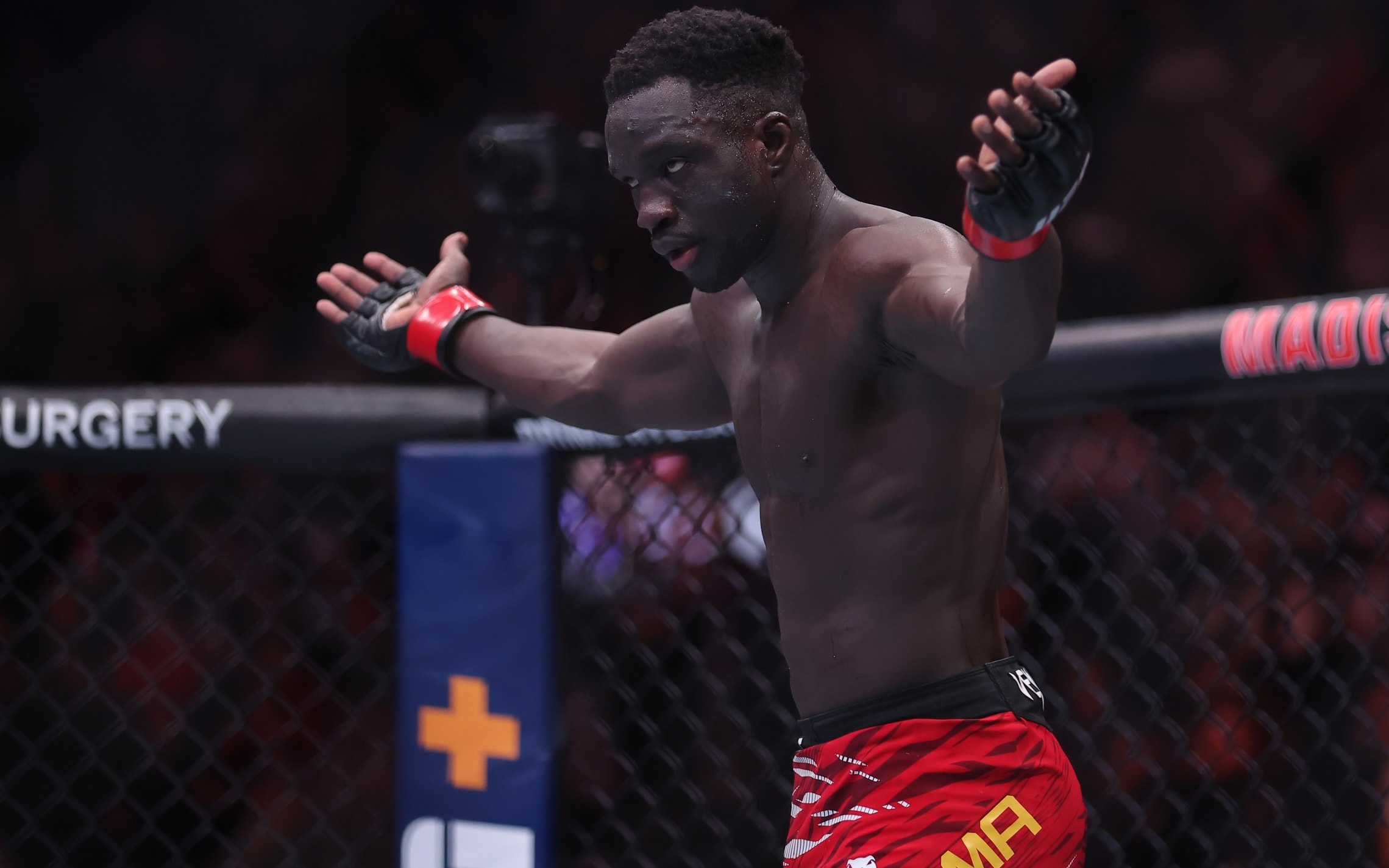 DraftKings UFC Picks: UFC Vegas 110 DFS Preview