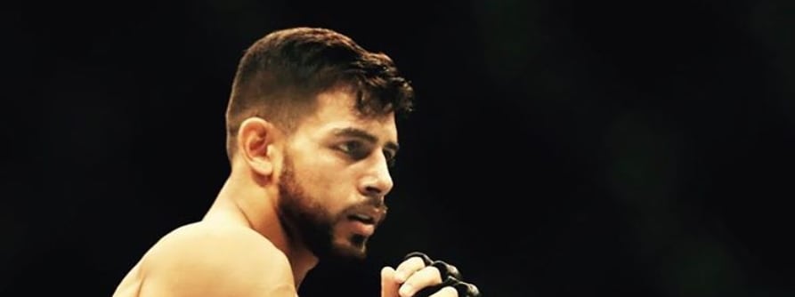 Fight Stat Wrap: UFC Mexico City