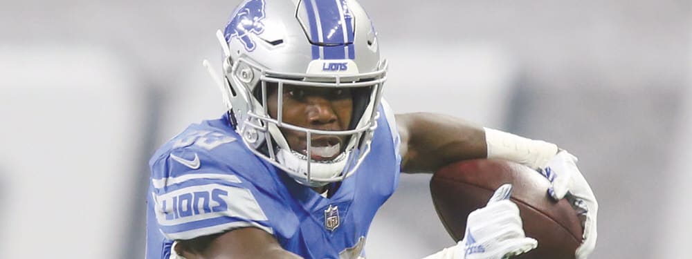 2019 Detroit Lions